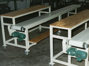 Poultry Industry Conveyors